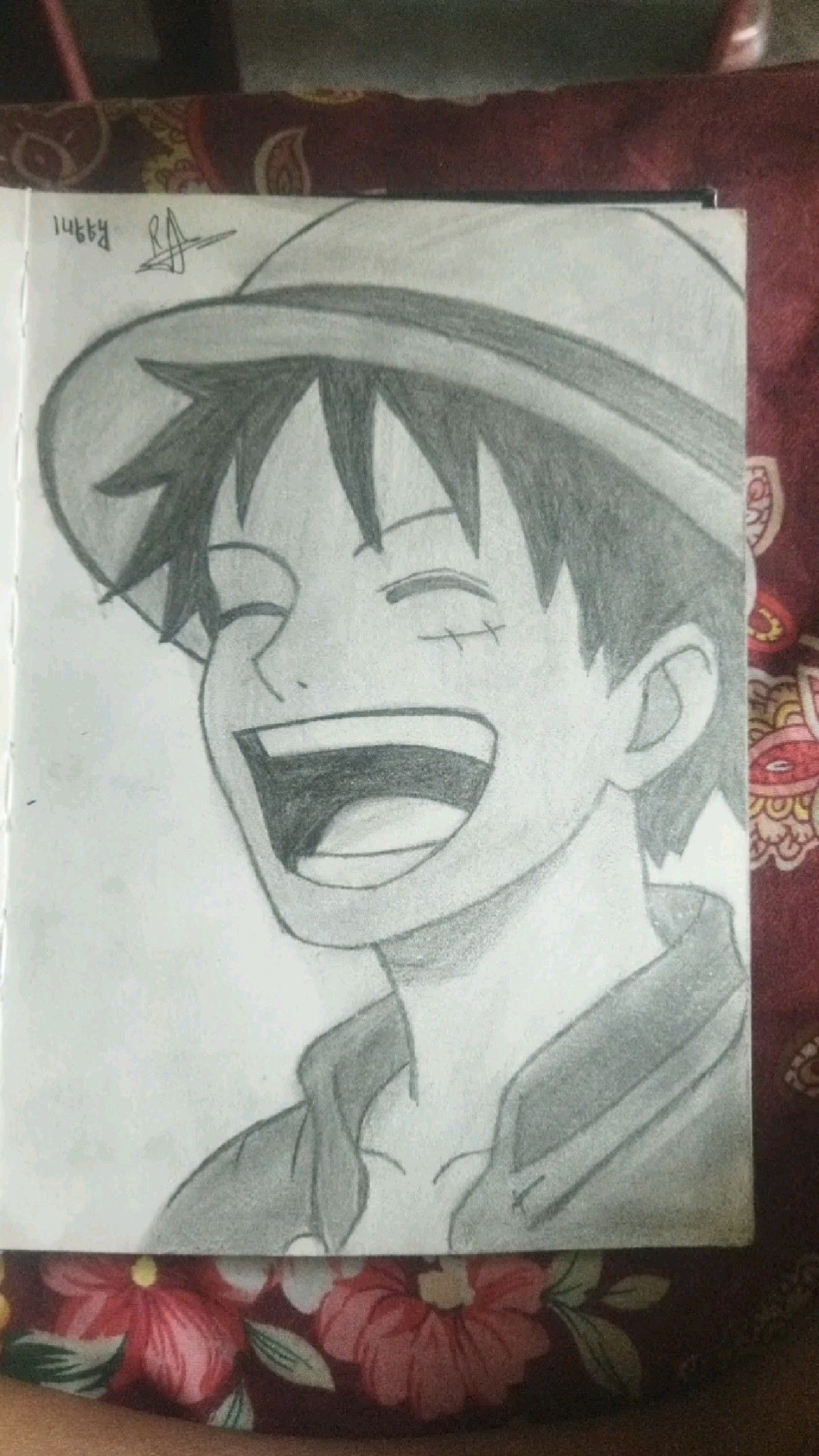 Fun Monkey D. Luffy Drawing