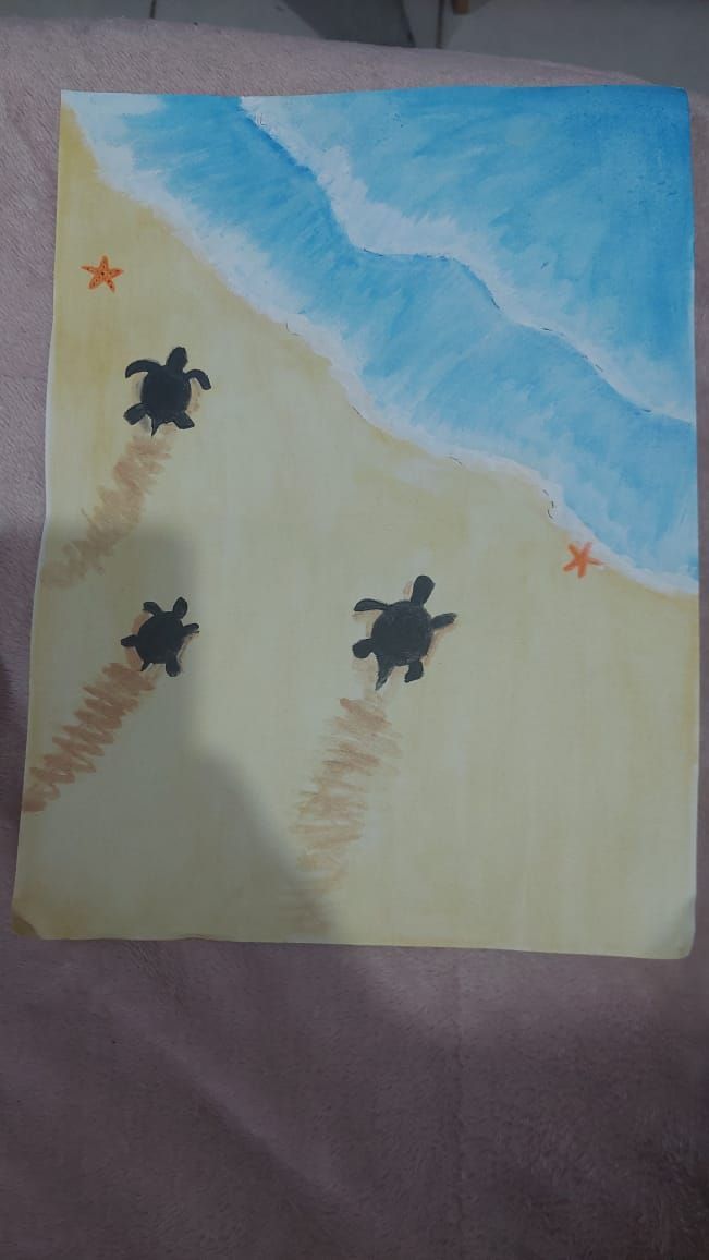 Cute Sea Turtles Walking on Sandy Shore