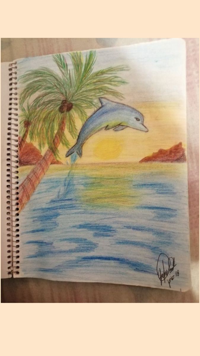 Playful Dolphin Jumping at Sunset