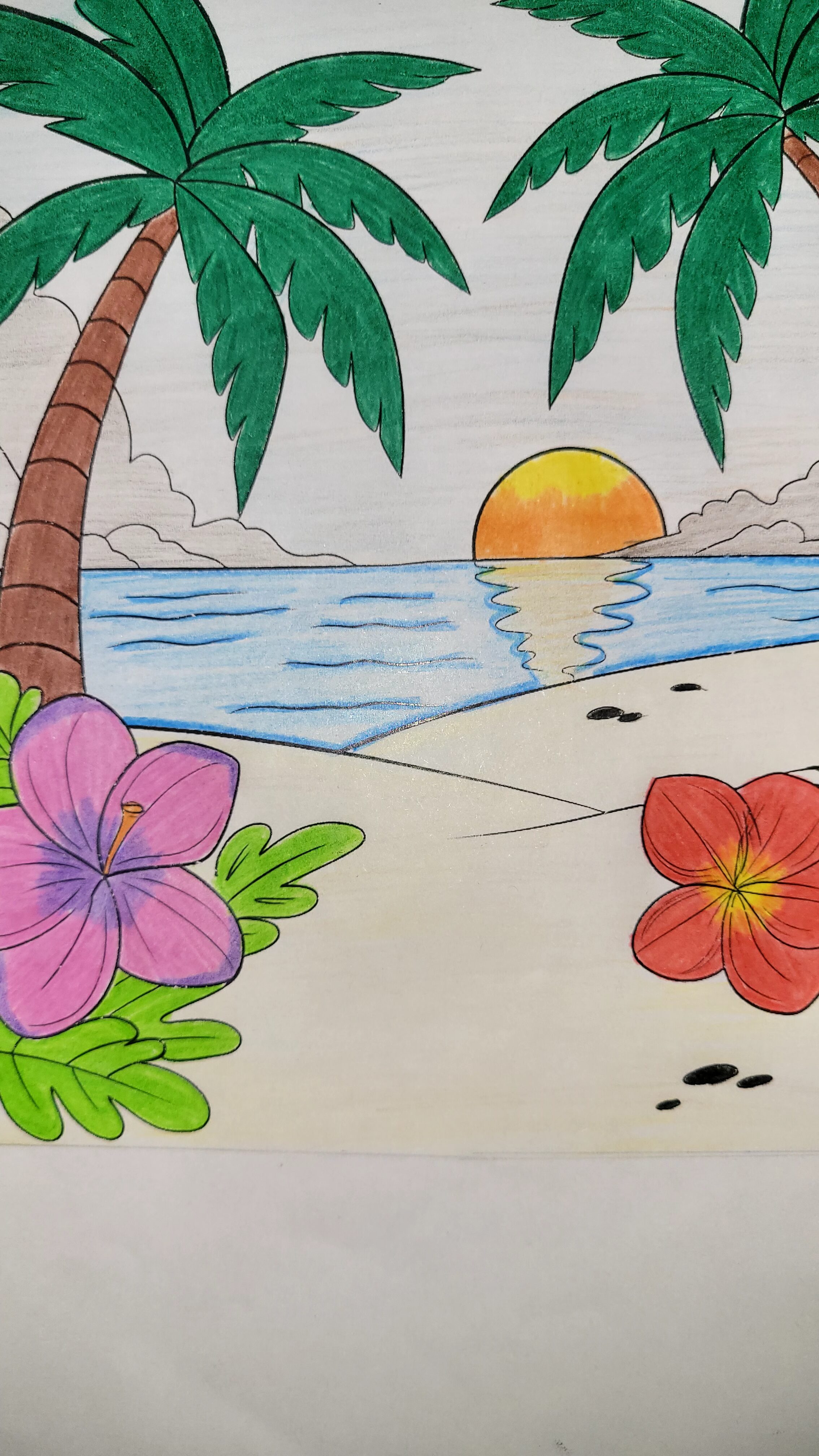 Vibrant Tropical Flowers and Sunset by the Shore