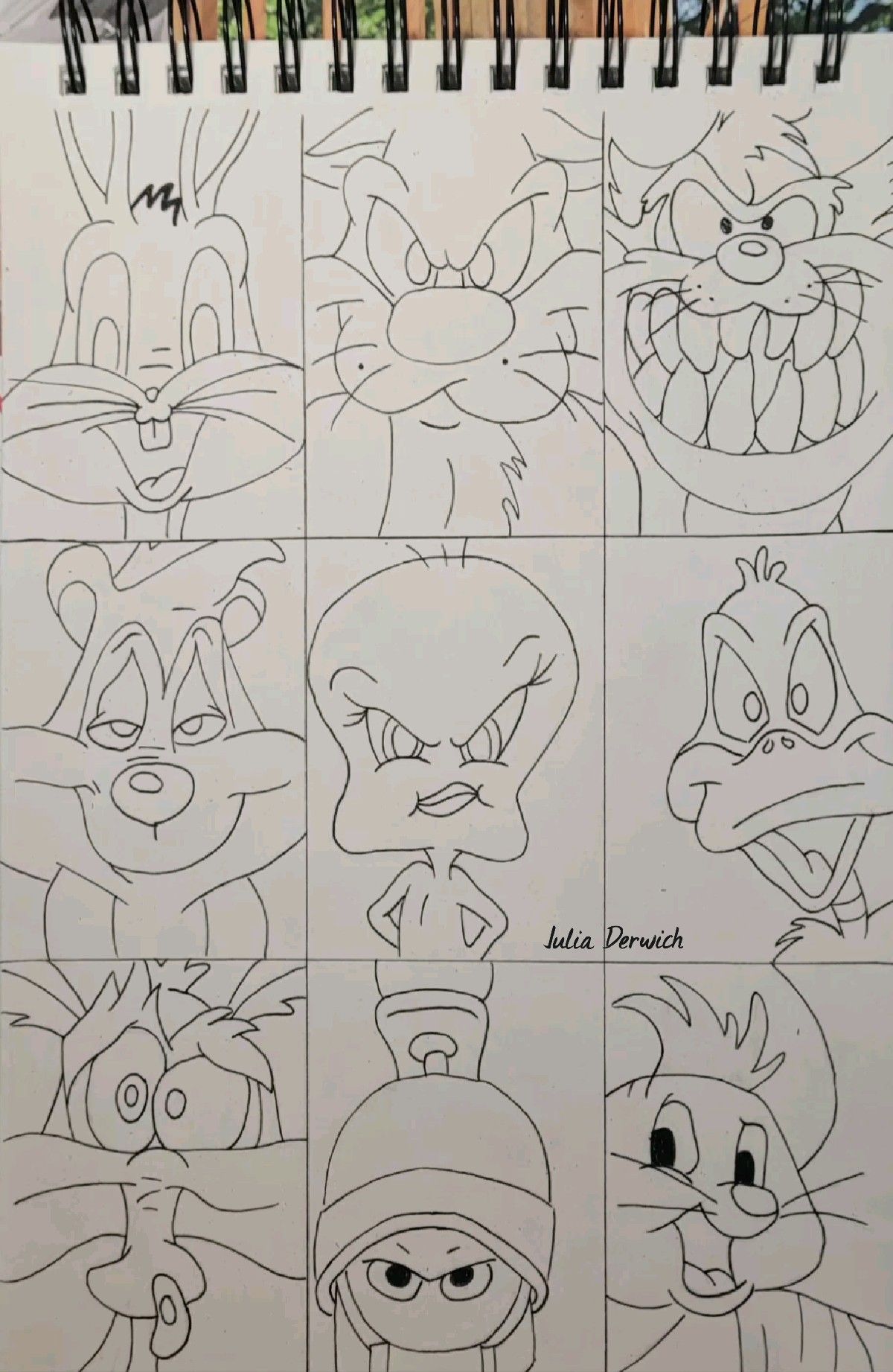 Looney Tunes Drawing Collection