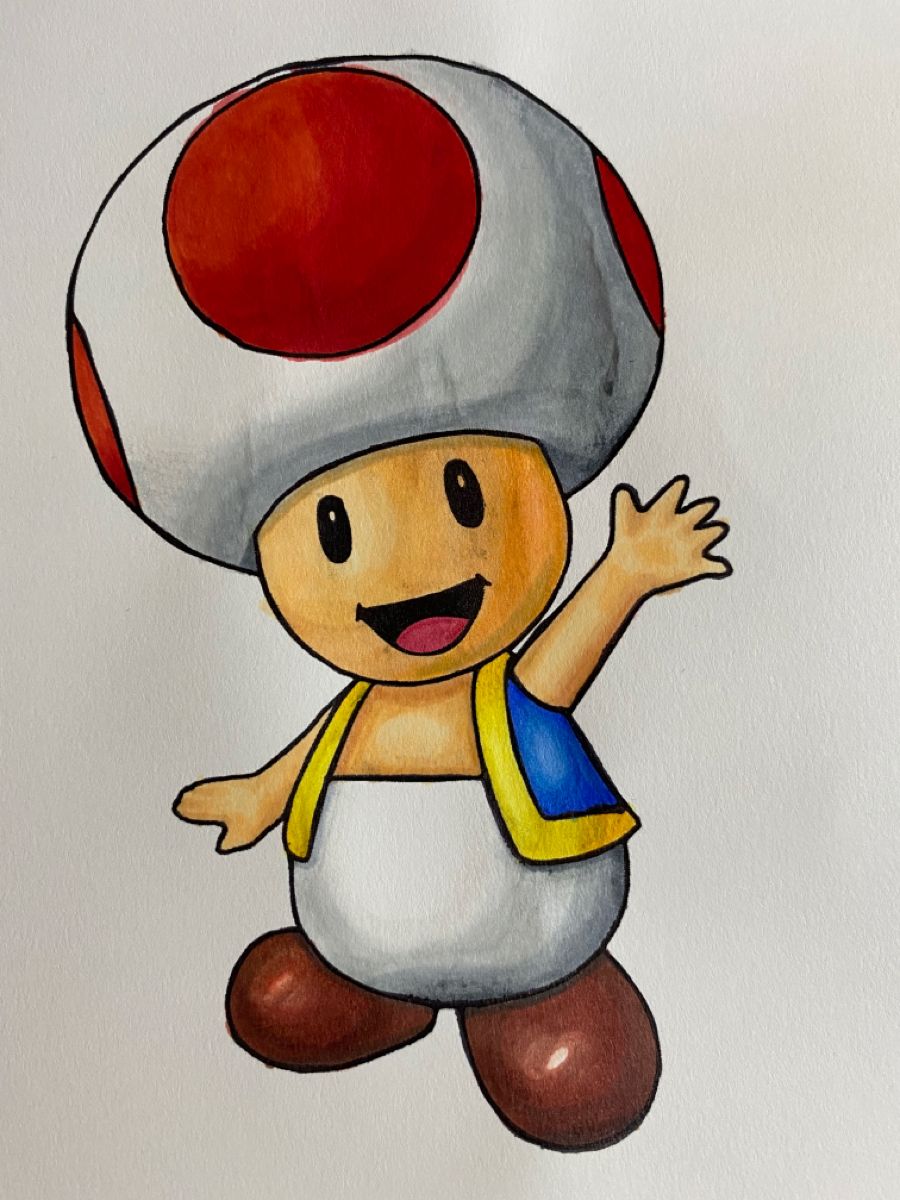 Toad Drawing from Super Mario