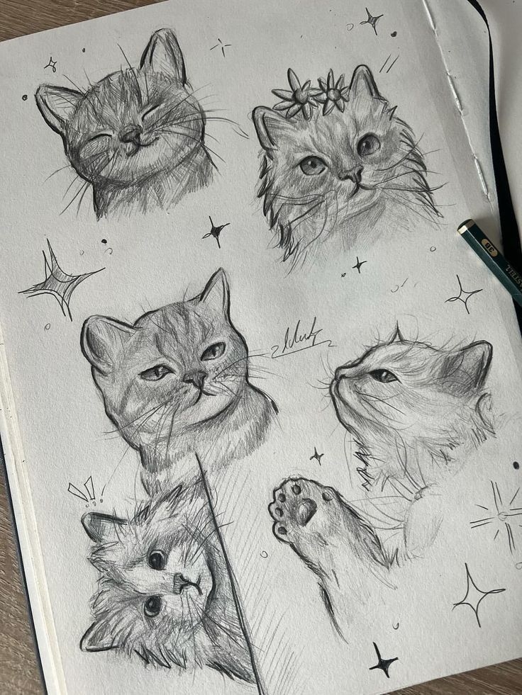 Adorable Cat Faces with Expressions
