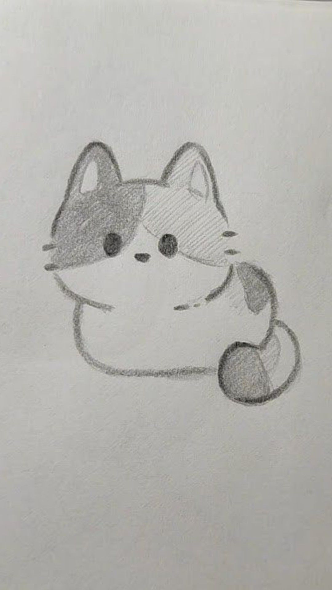 Adorable Chubby Cat with Big Eyes