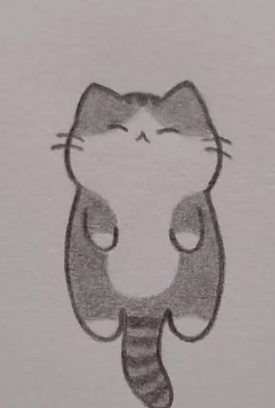 Adorable Chubby Cat with Cheerful Expression