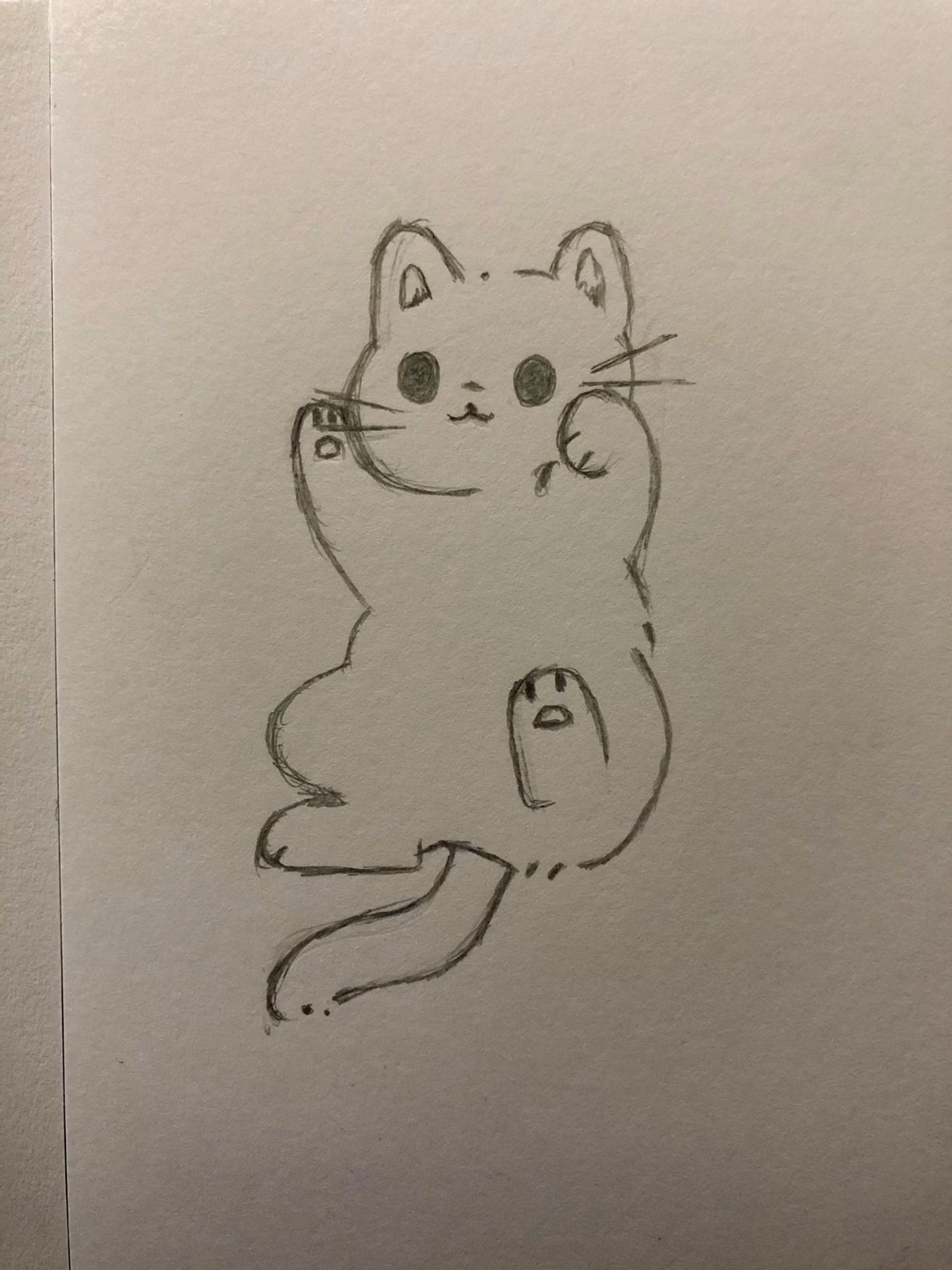 Adorable Fluffy Cat with Playful Pose