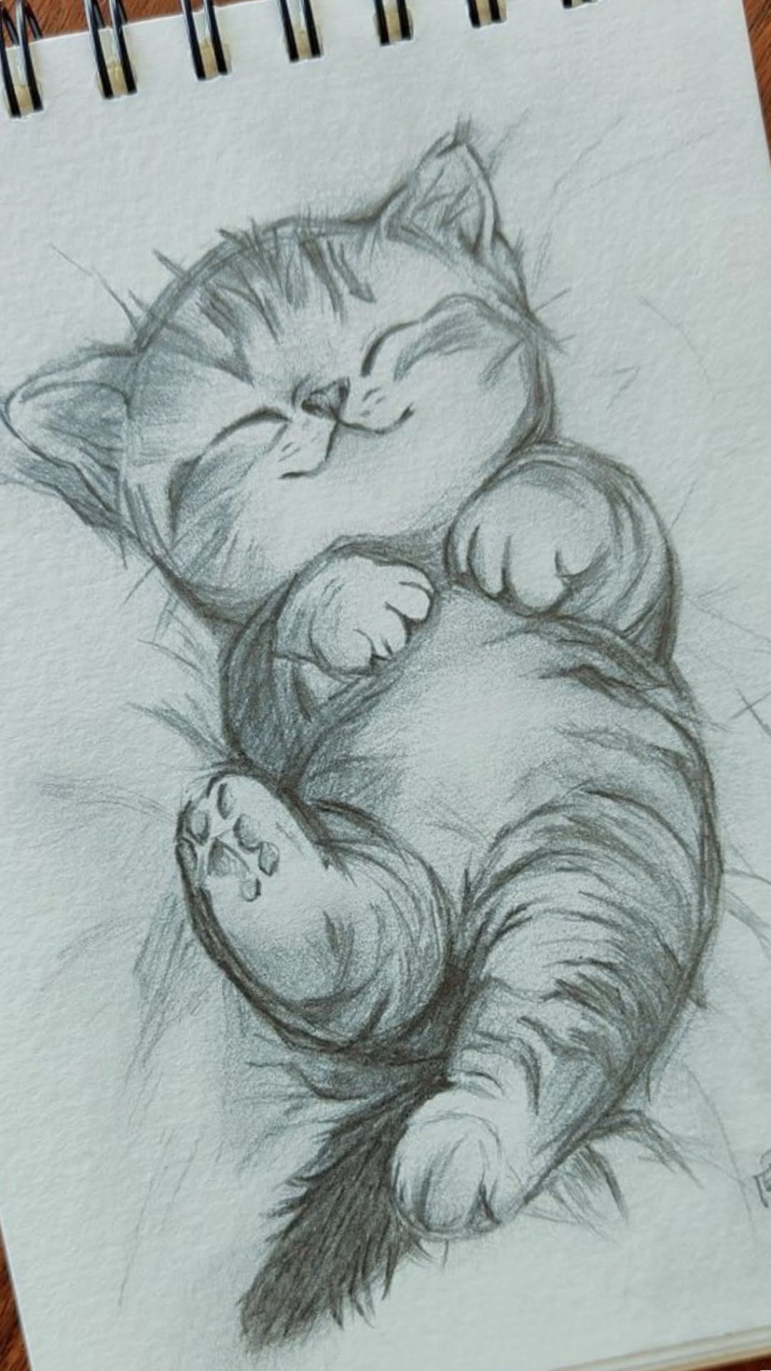 Adorable Sleeping Kitten with Playful Expression