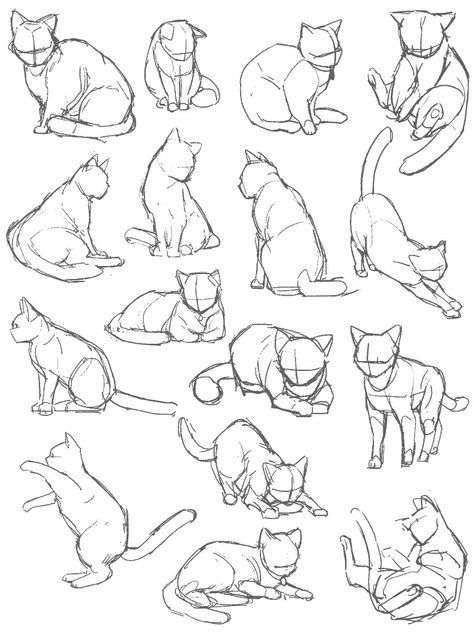Artistic Sketches of Cats in Various Poses