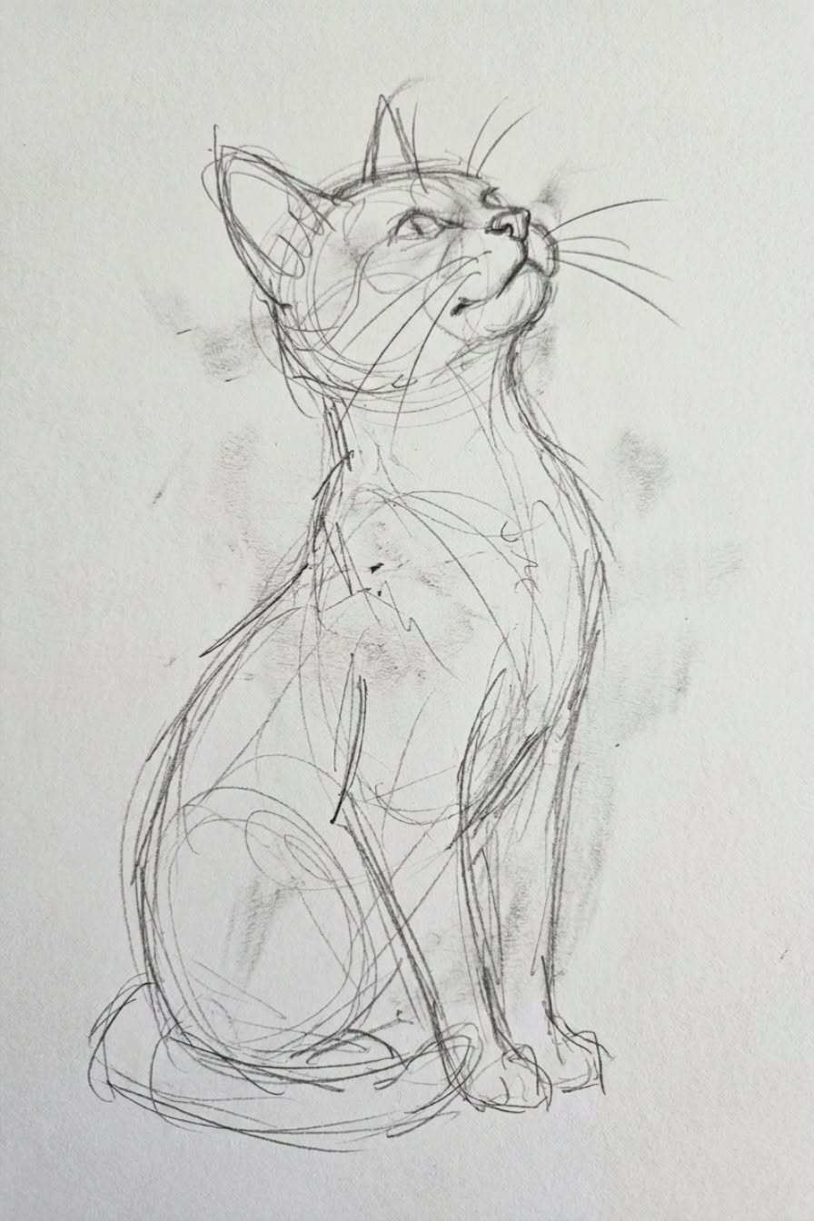 Elegant Cat in a Sitting Pose