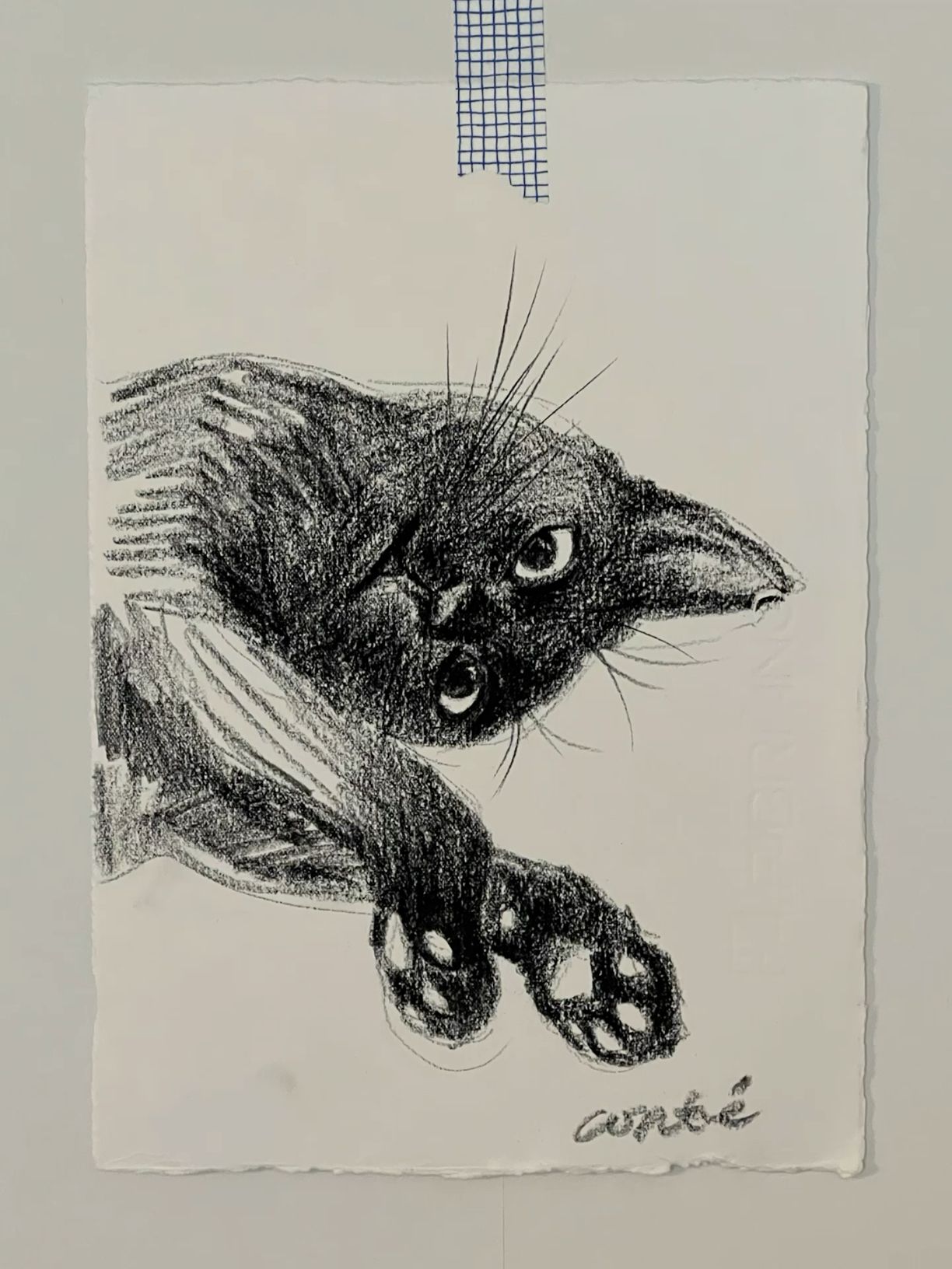 Playful Black Cat With Whimsical Pose