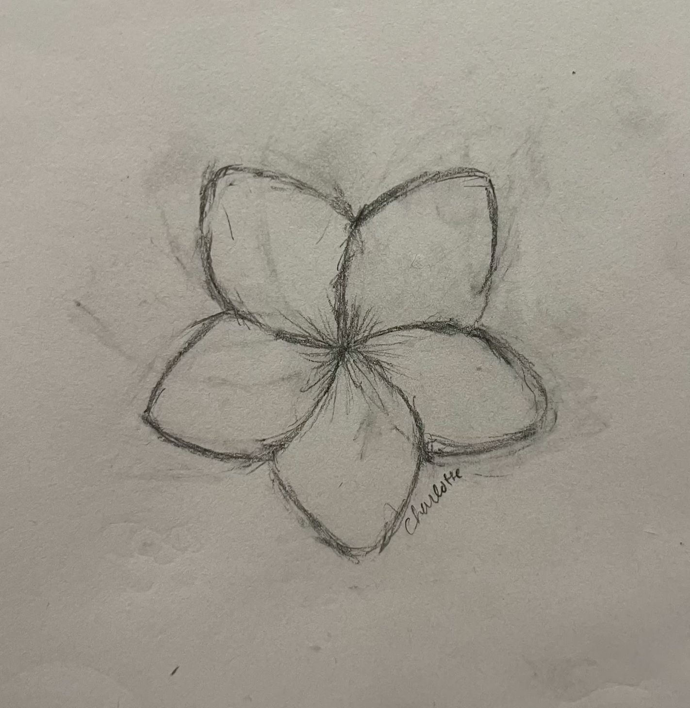 Sweet Flower Sketch with Delicate Petals