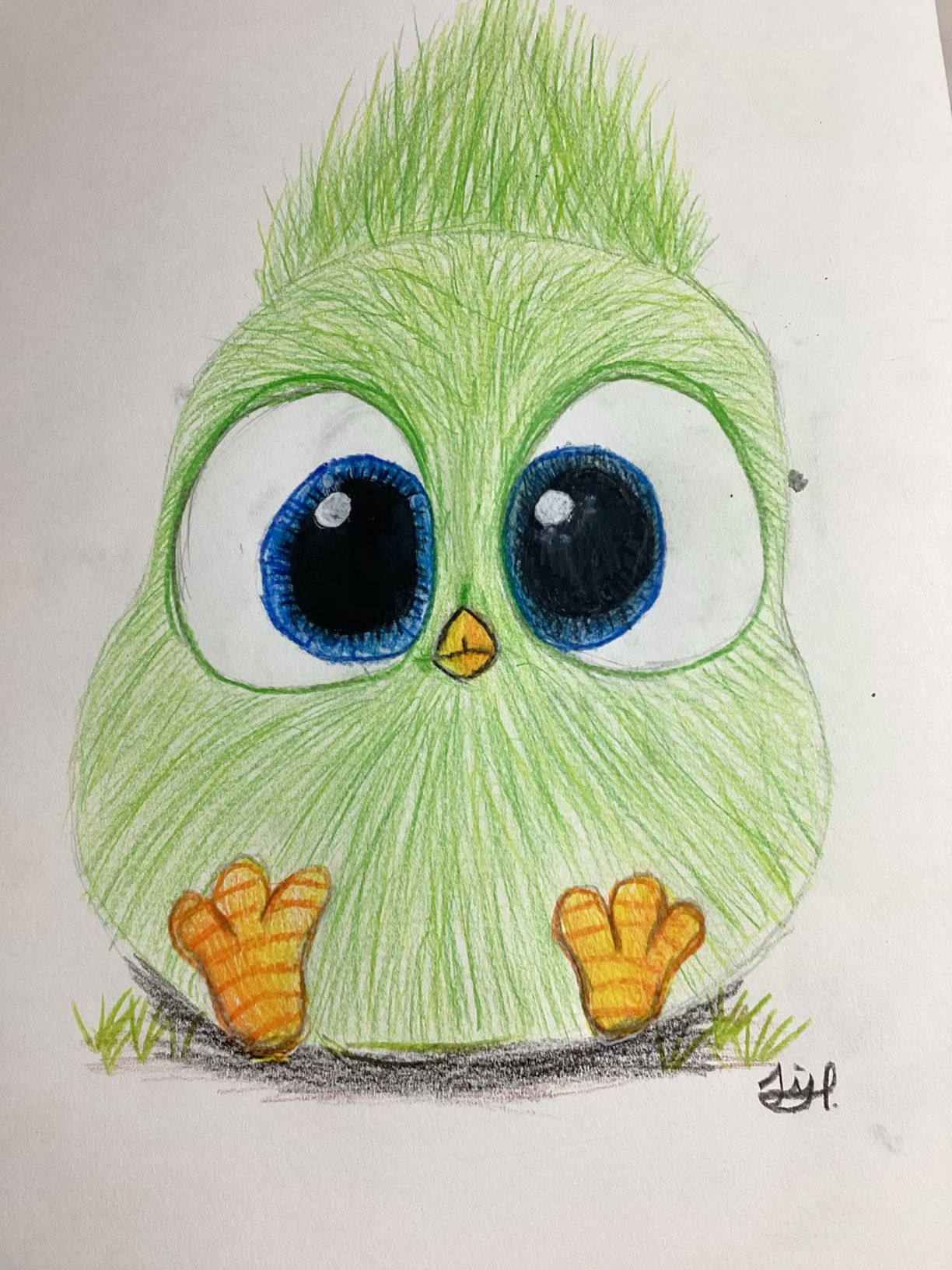 Adorable Green Bird with Big Blue Eyes