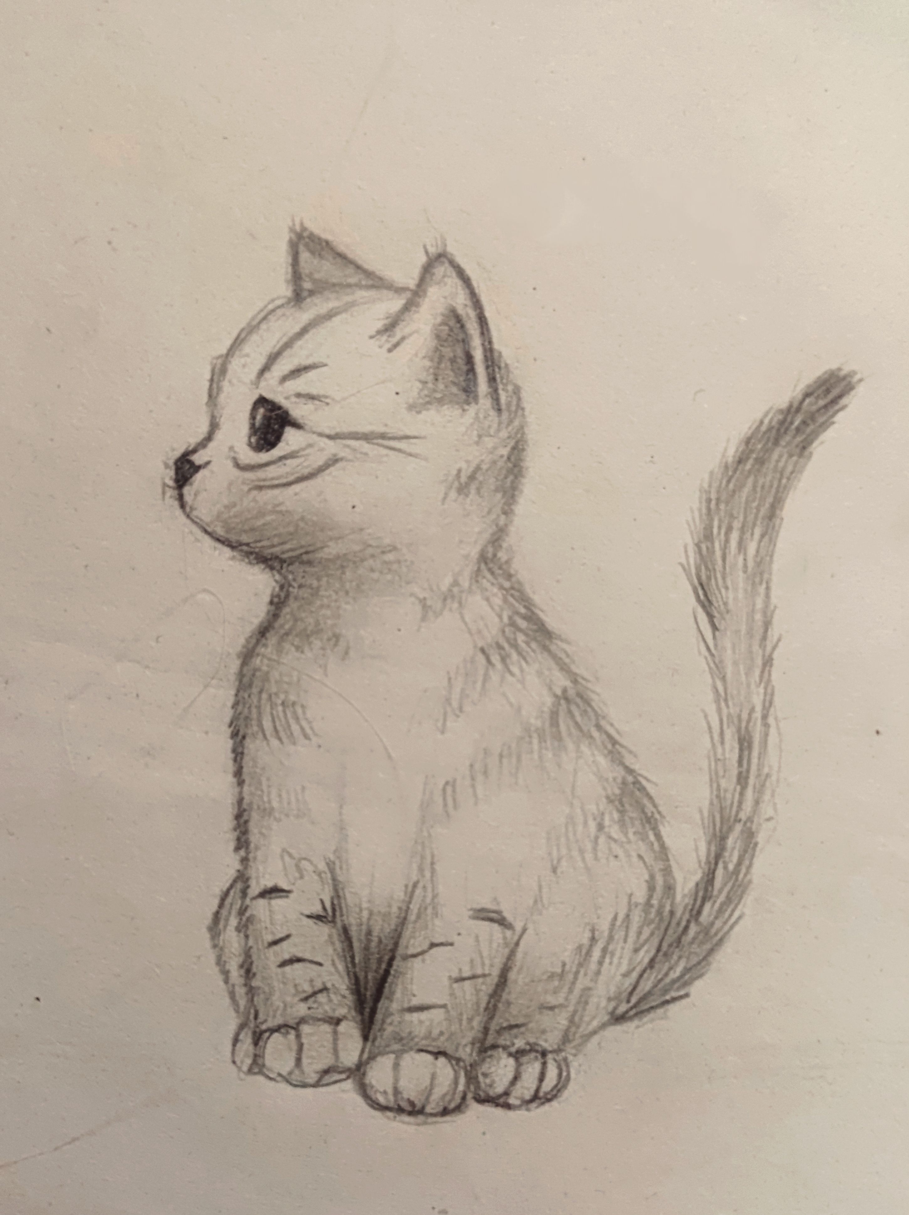 Adorable Sitting Kitten Sketch
