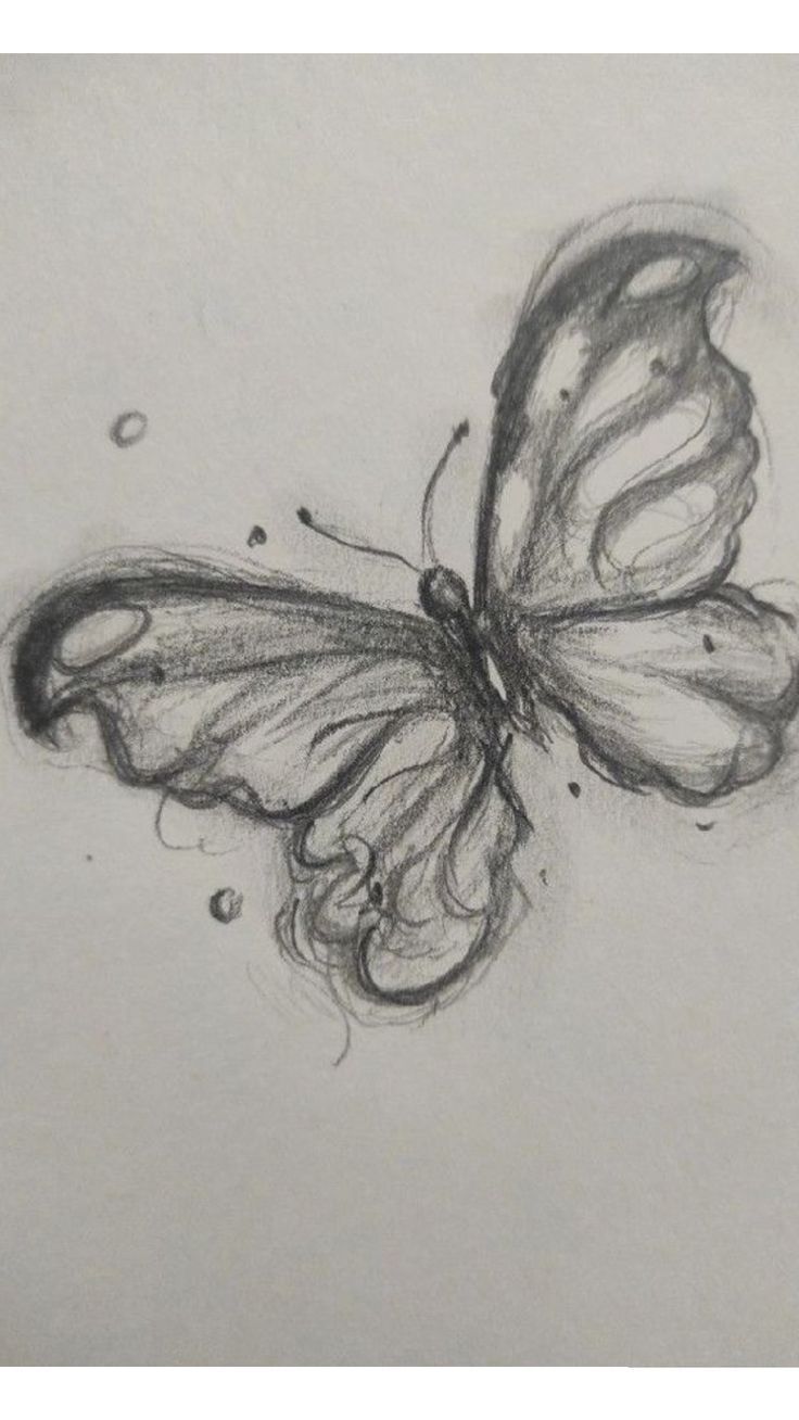 Elegant Sketch of a Butterfly in Flight