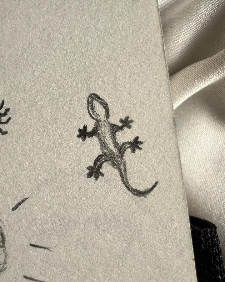Simple Gecko Climbing Wall