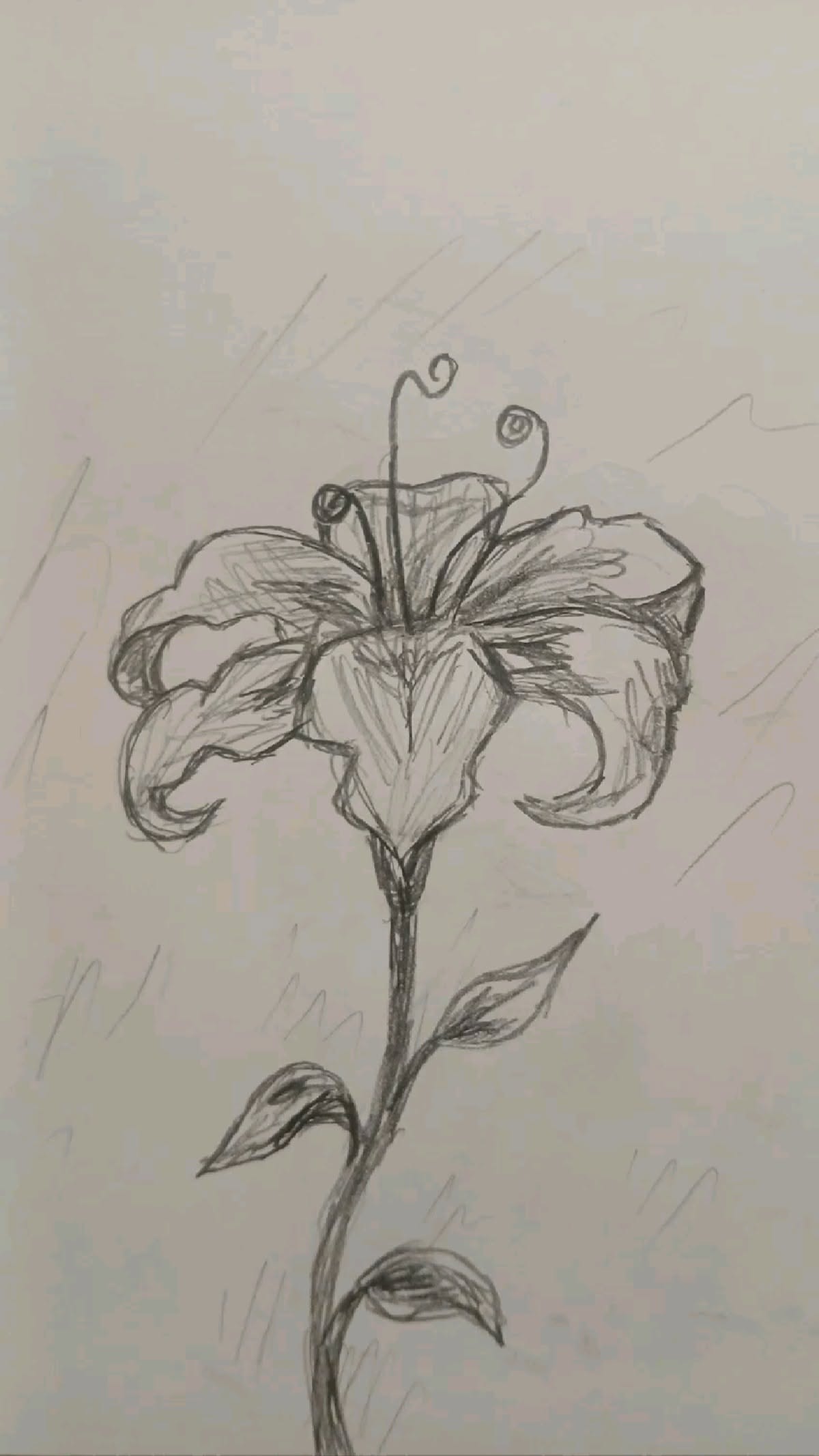 Elegant Sketch of a Flower with Swirling Petals