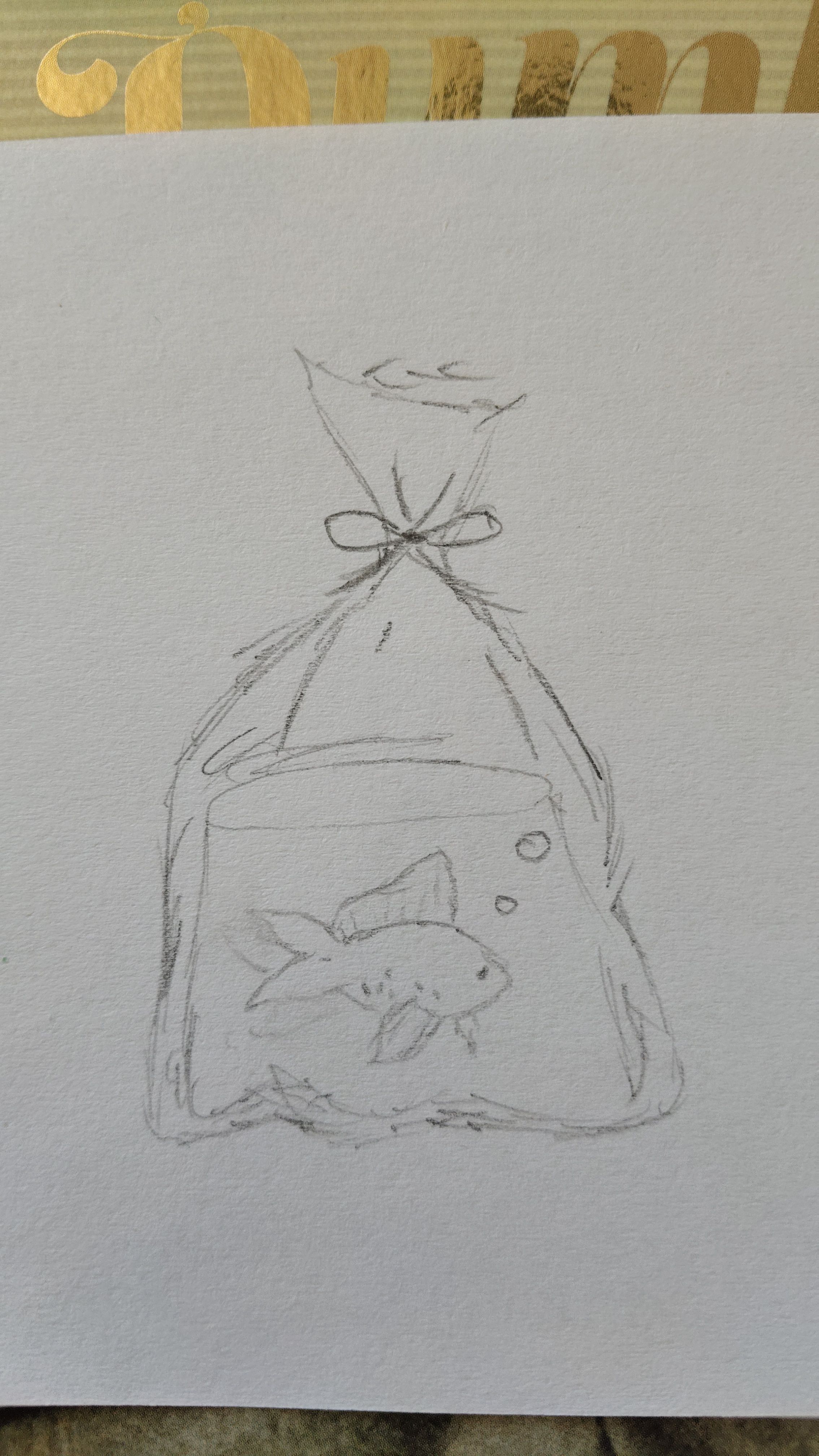 Cute Goldfish in a Bag