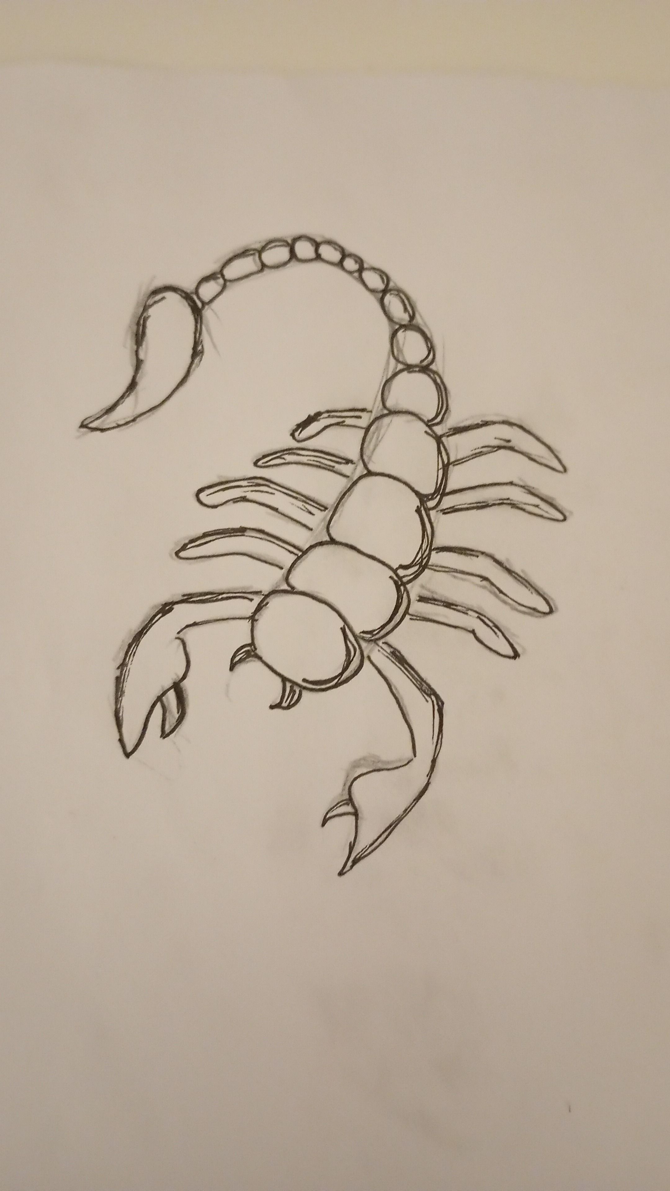 Simple Scorpion Doodle Design