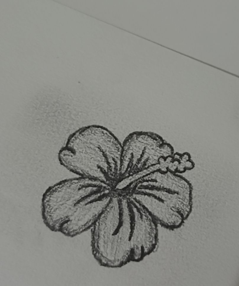 Simple Sketch of a Hibiscus Flower