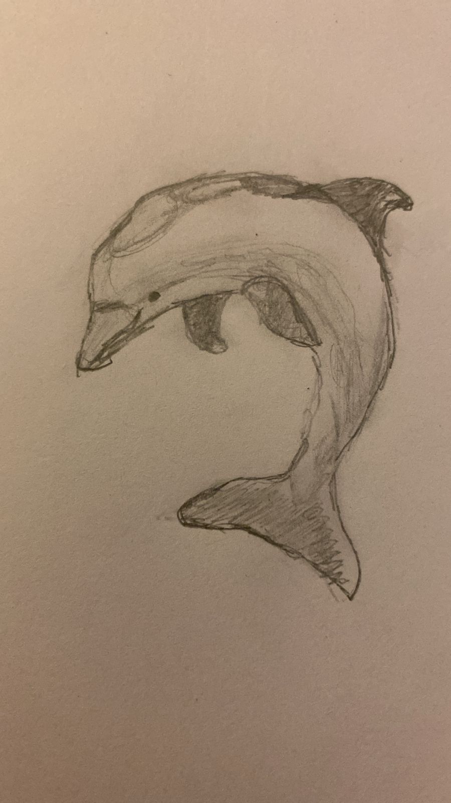 Simple Sketch of a Playful Dolphin