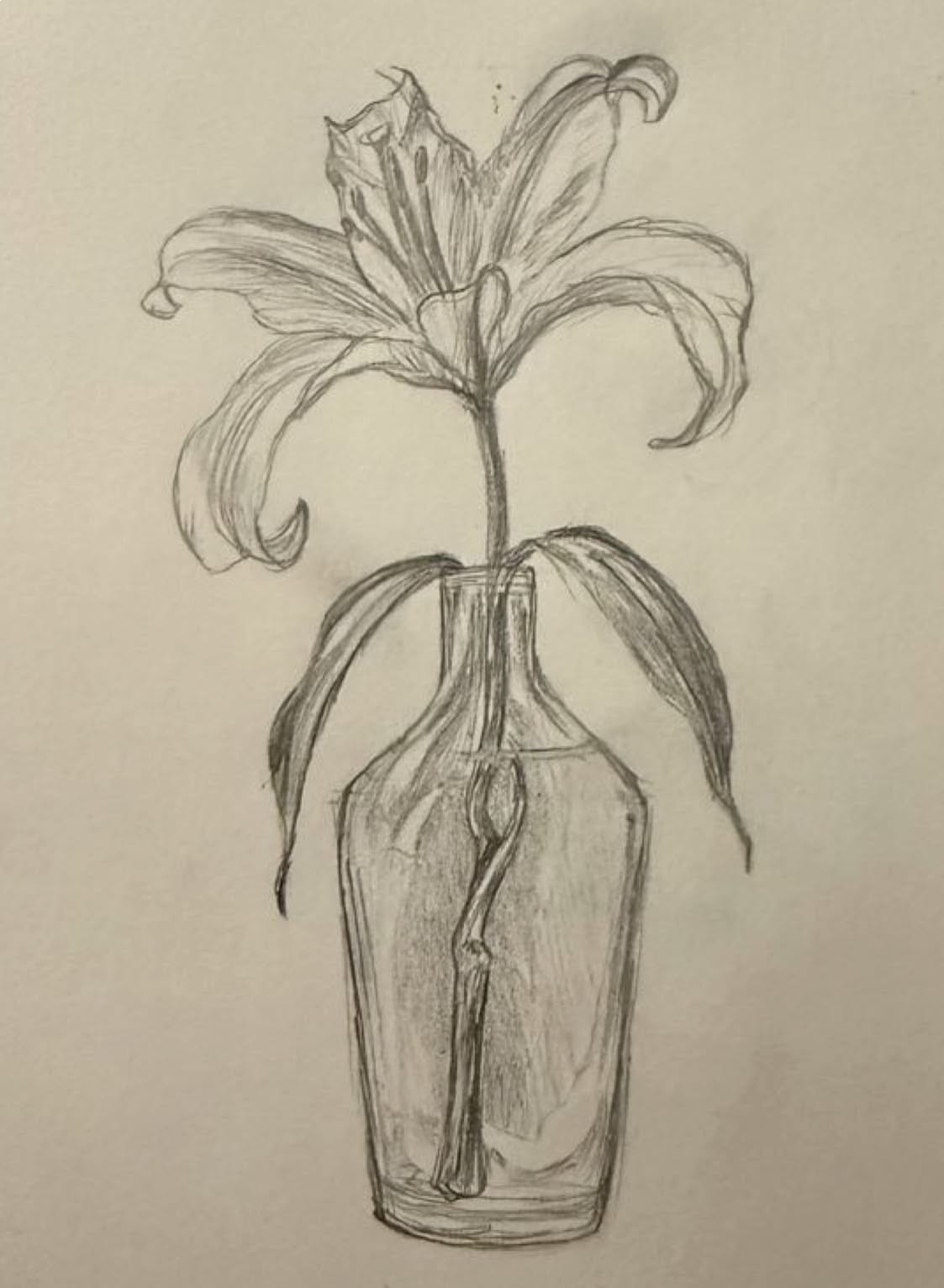 Simple Sketch of Flower in a Bottle