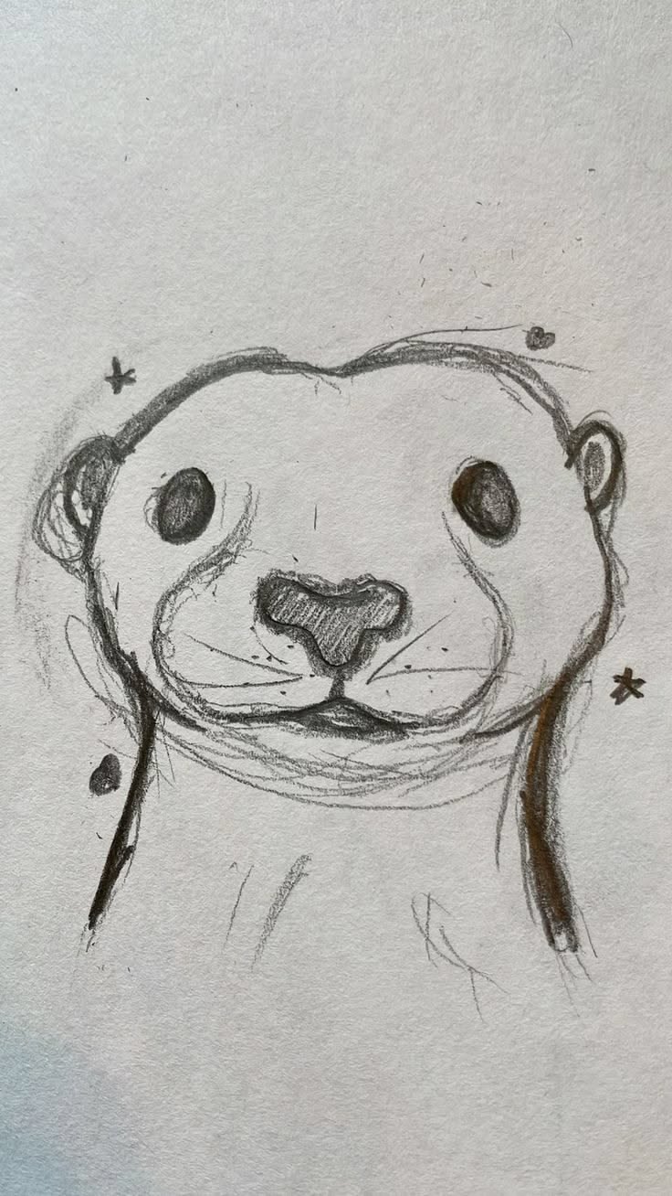 Adorable Otter Face Sketch