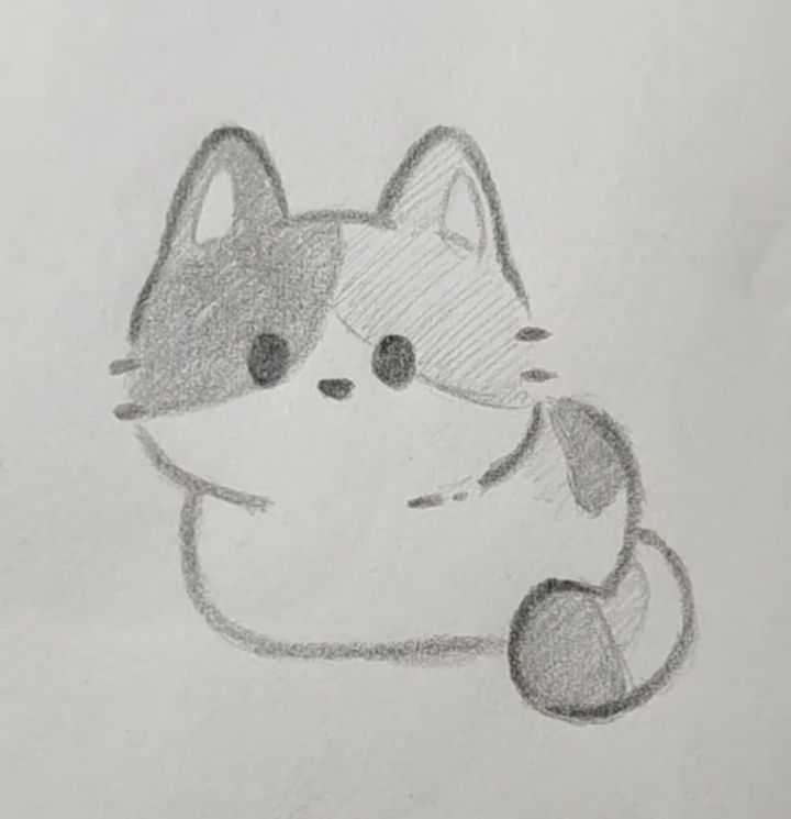 Adorable Chubby Cat Sketch