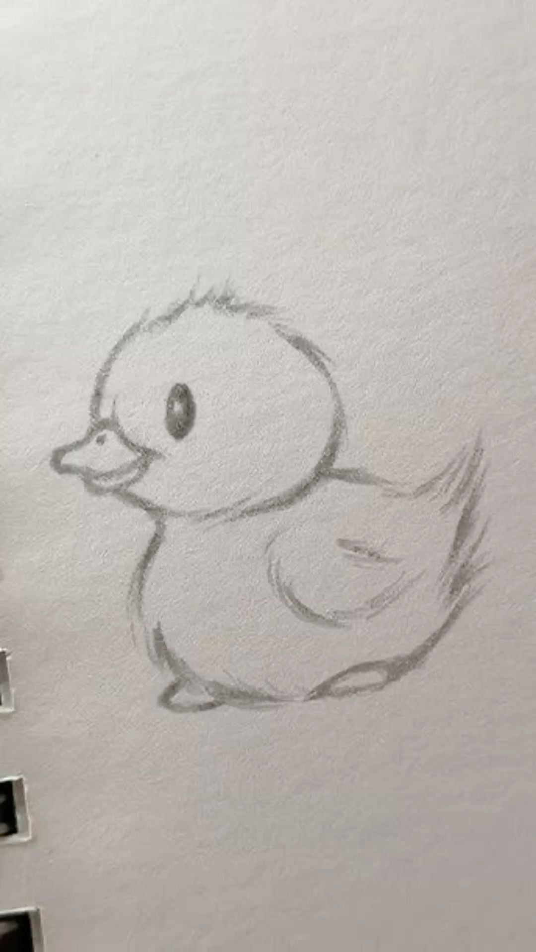 Adorable Baby Duckling Waddling