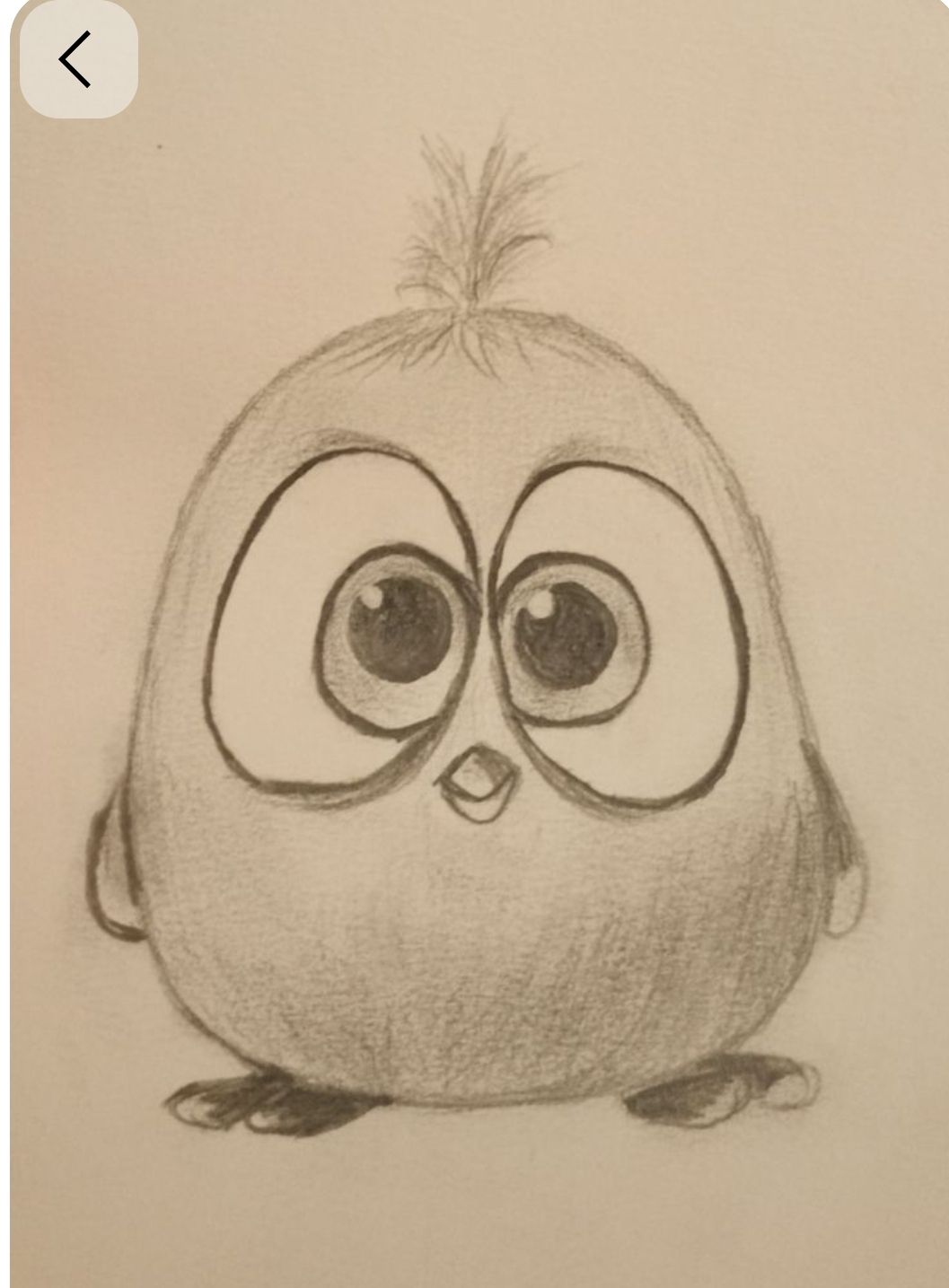 Adorable Round Bird with Big Eyes