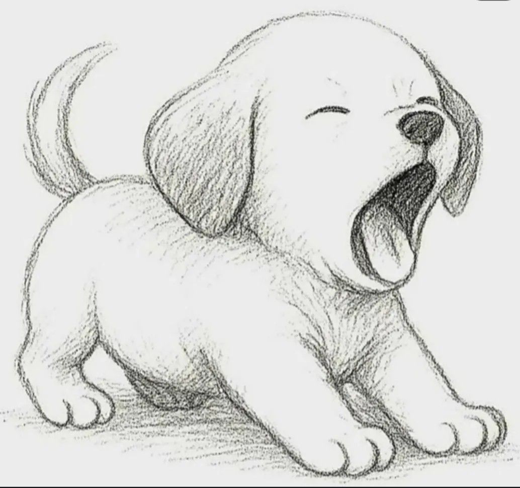 Adorable Yawning Puppy