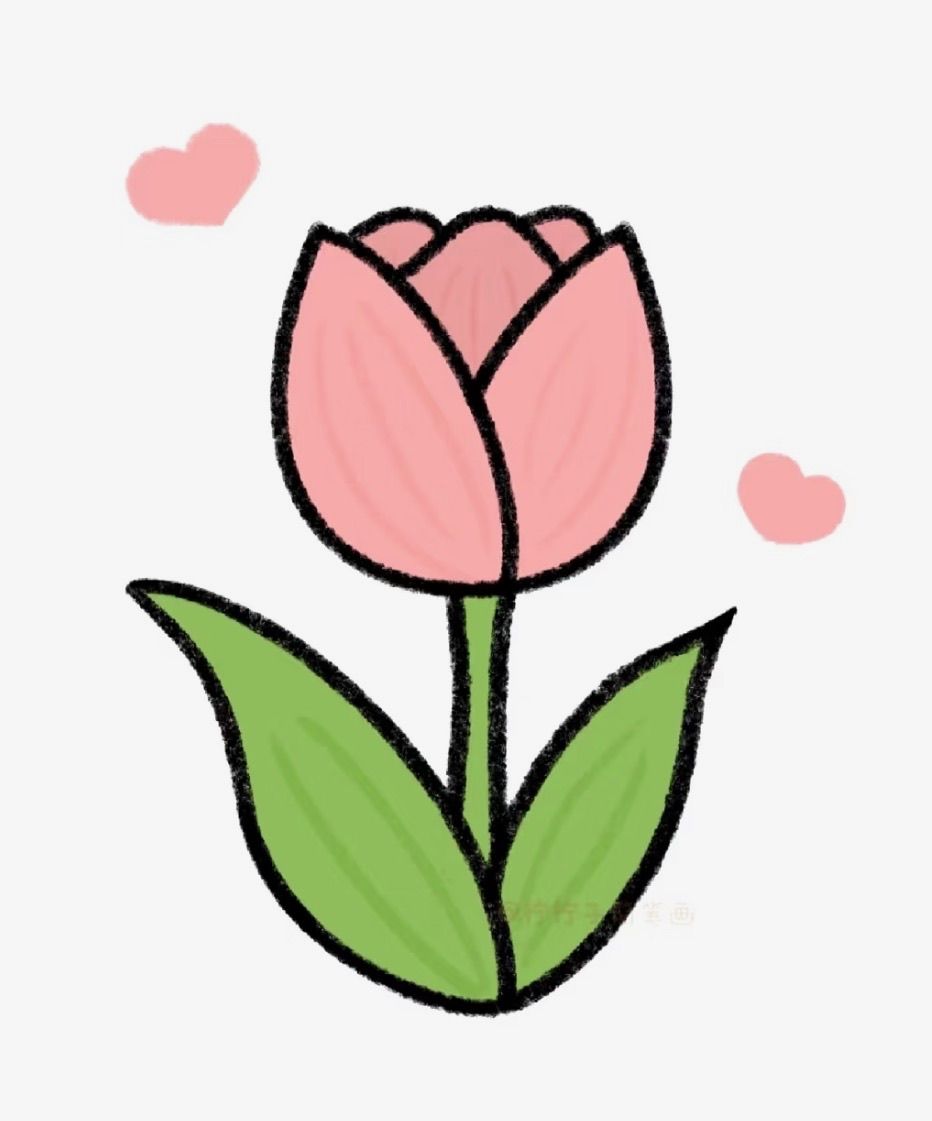 Adorable Pink Tulip with Heart Accents