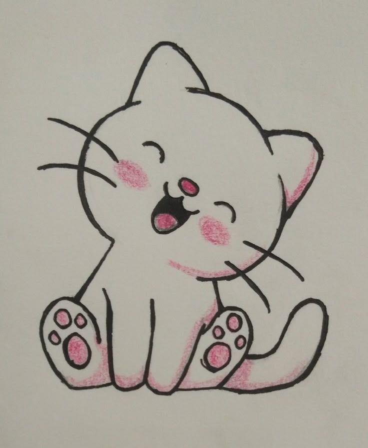 Adorable Smiling Kitten with Pink Cheeks
