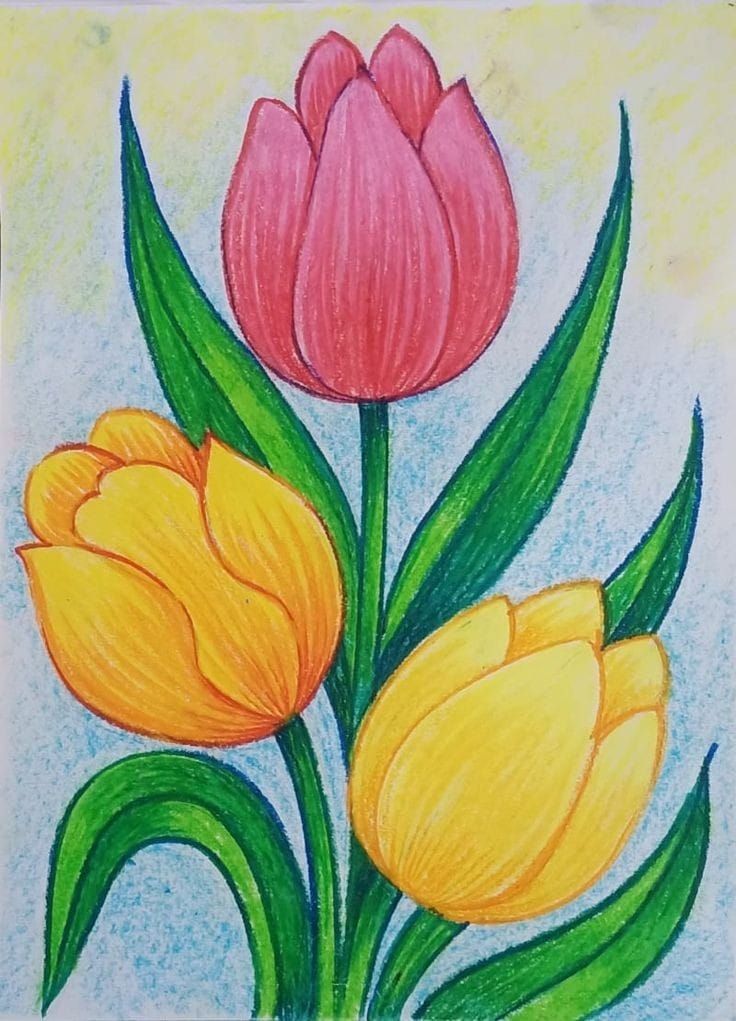 Colorful Tulips Blooming in Spring