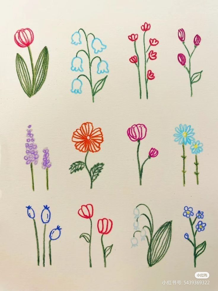 Doodles to Draw: Adorable Floral Patterns with Variety