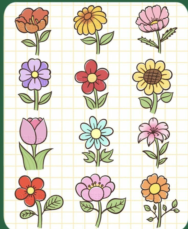 Adorable Flowers in Colorful Designs