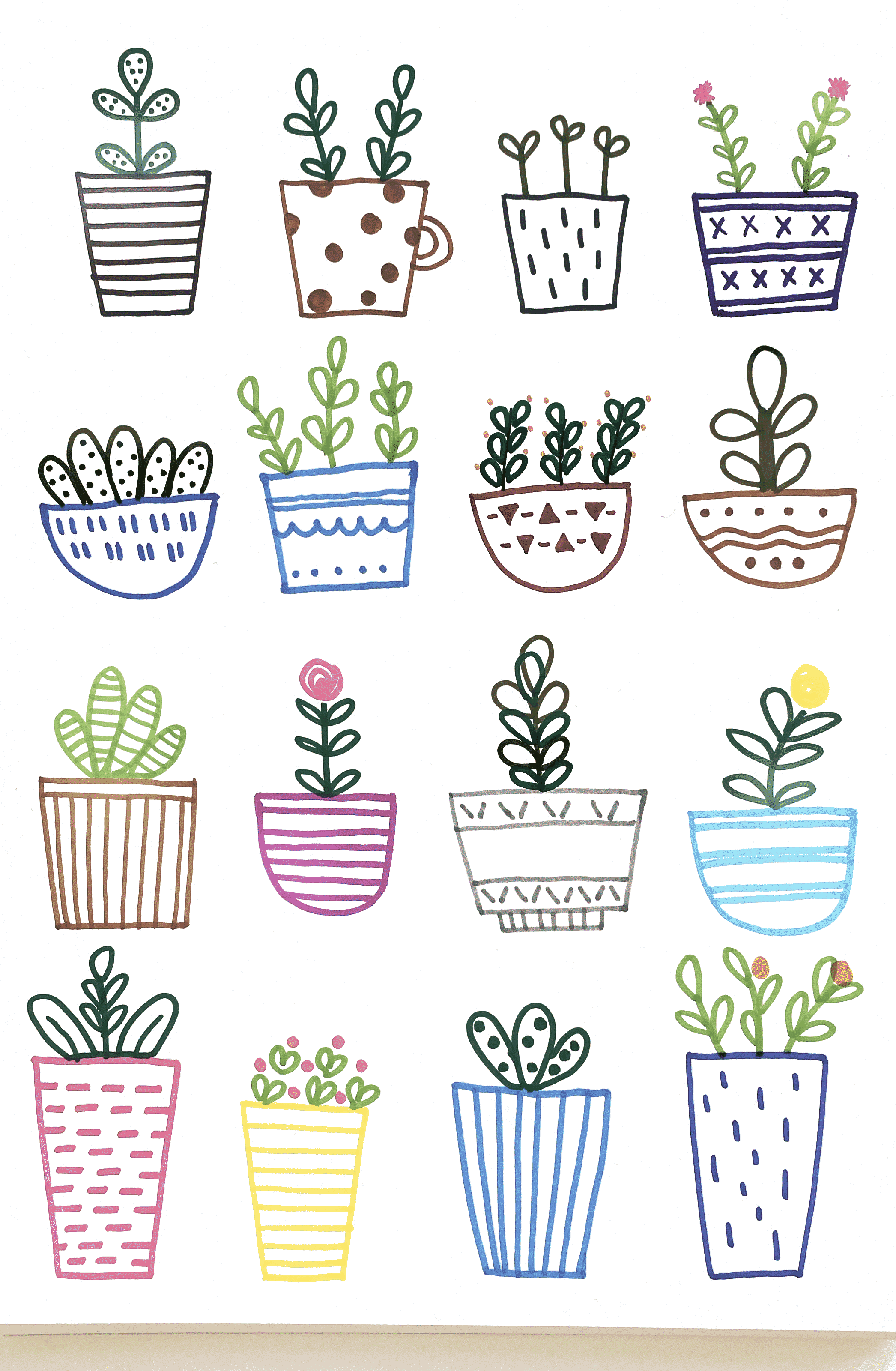 Charming Potted Plants and Succulents Collection