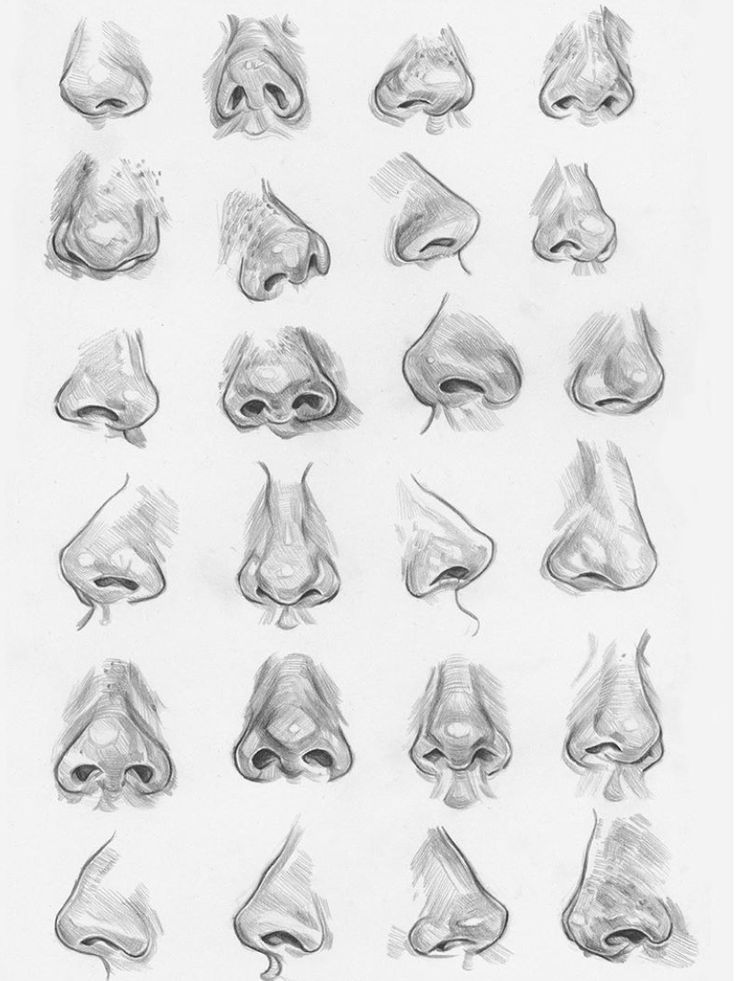 Advanced Techniques for Realistic Shapes