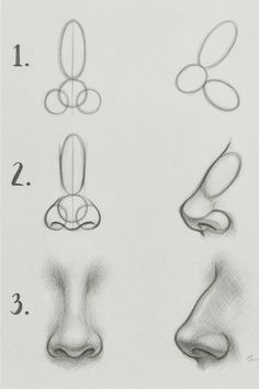 Complete Guide to Basic Shapes and Realistic Features