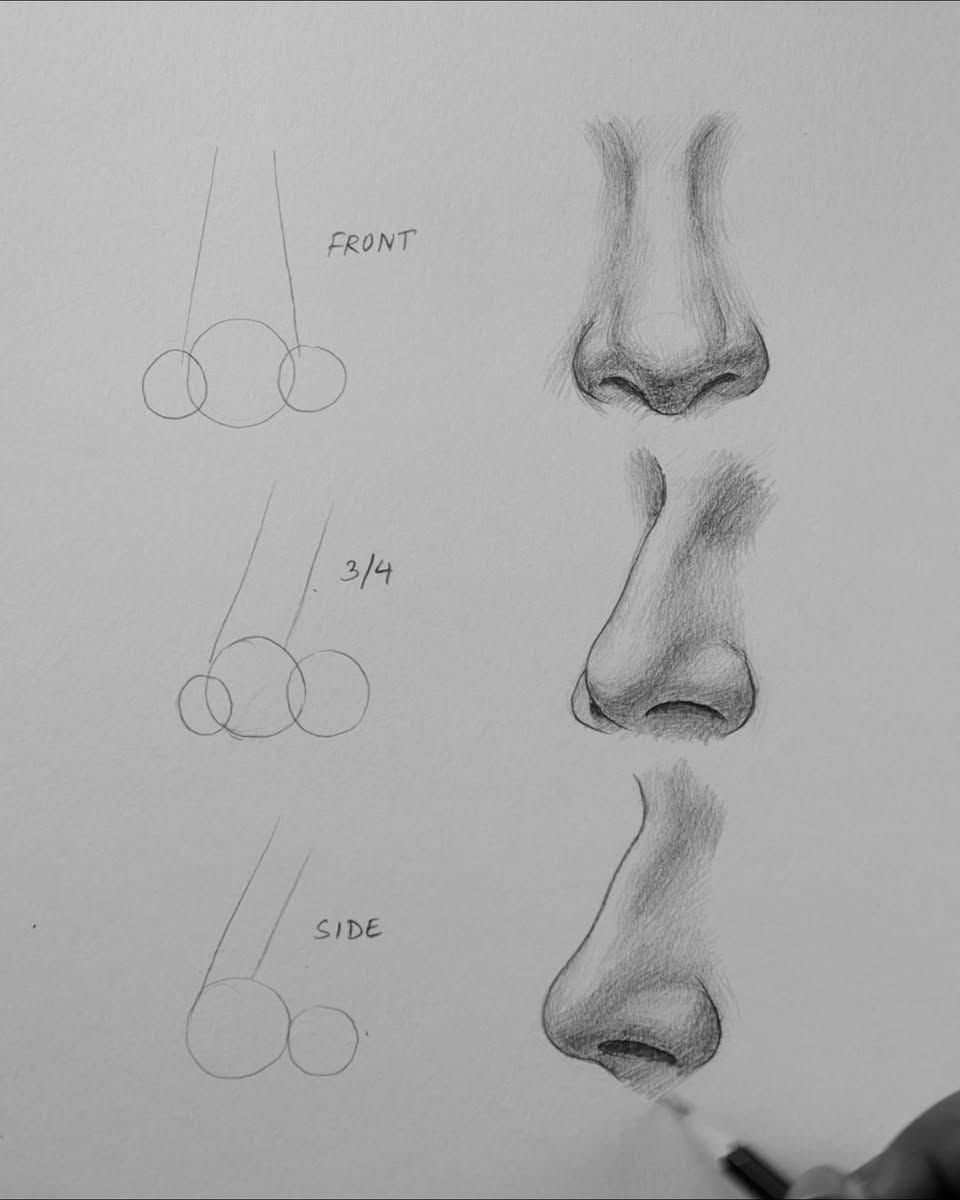 Comprehensive Guide to Front, 3/4, and Side Views