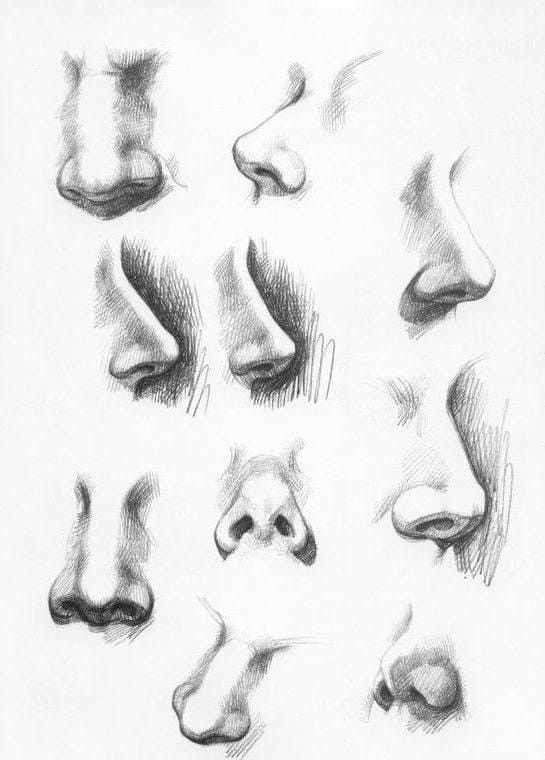 Comprehensive Guide to Various Nose Styles