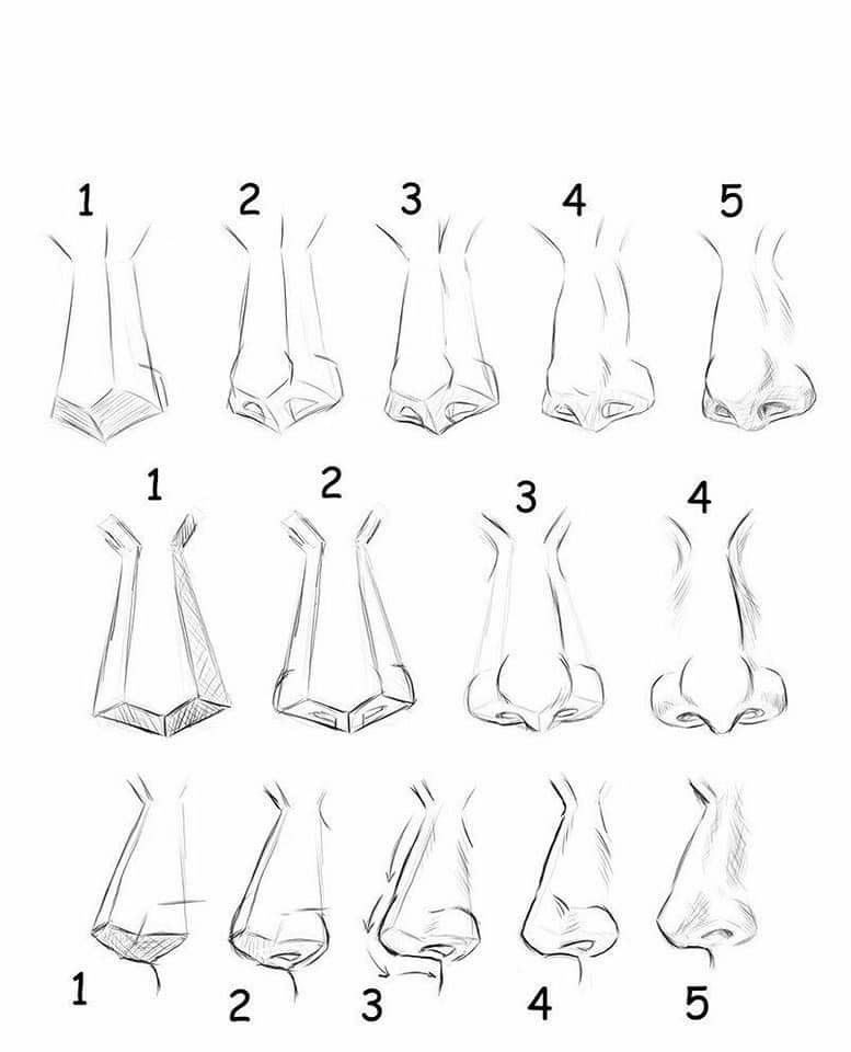 Comprehensive Step-by-Step Guide for Realistic and Cartoon Styles