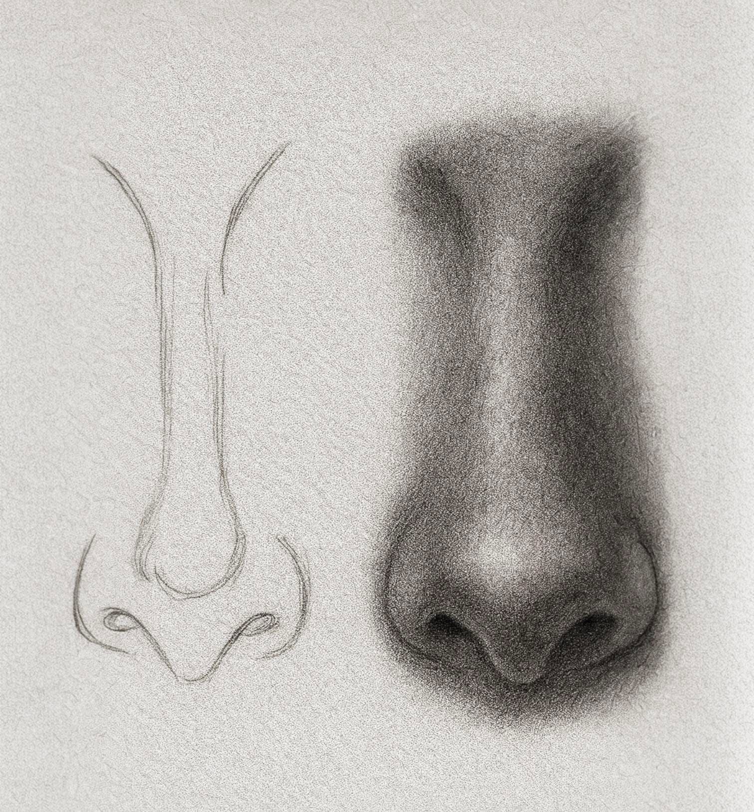 Drawing of the Nose: Detailed Realistic Technique for Beginners