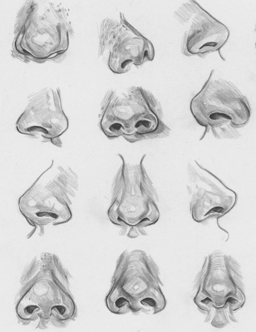 Diverse Styles and Techniques for Realistic Depictions