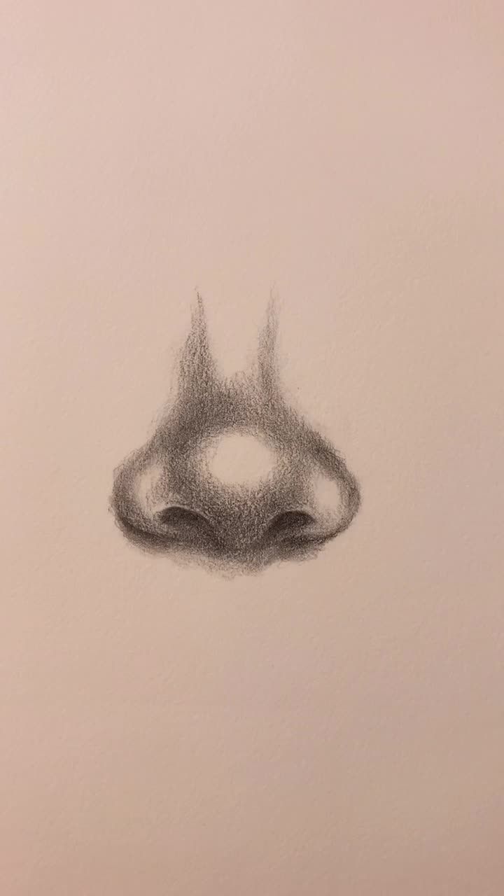 Drawing of the Nose: Realistic 3D Shading Techniques