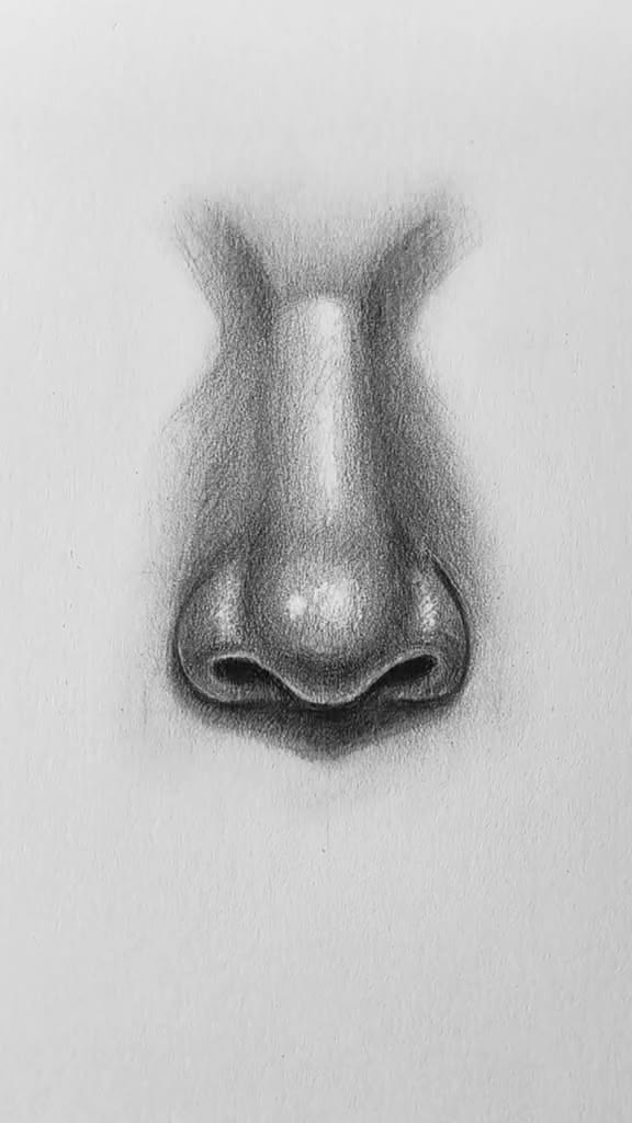 Drawing of the Nose: Realistic 3D Shading Techniques