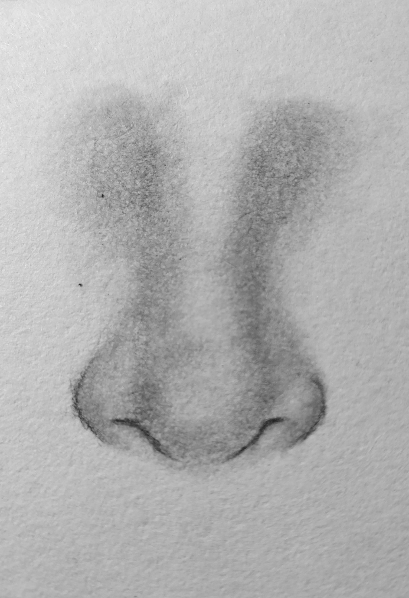 Realistic Front View with Shading Techniques