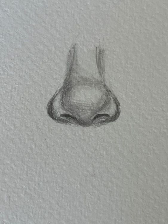 Realistic Nose Drawing Techniques for Beginners
