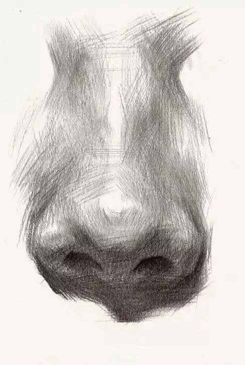 Realistic Nose Rendering Techniques for Art Students