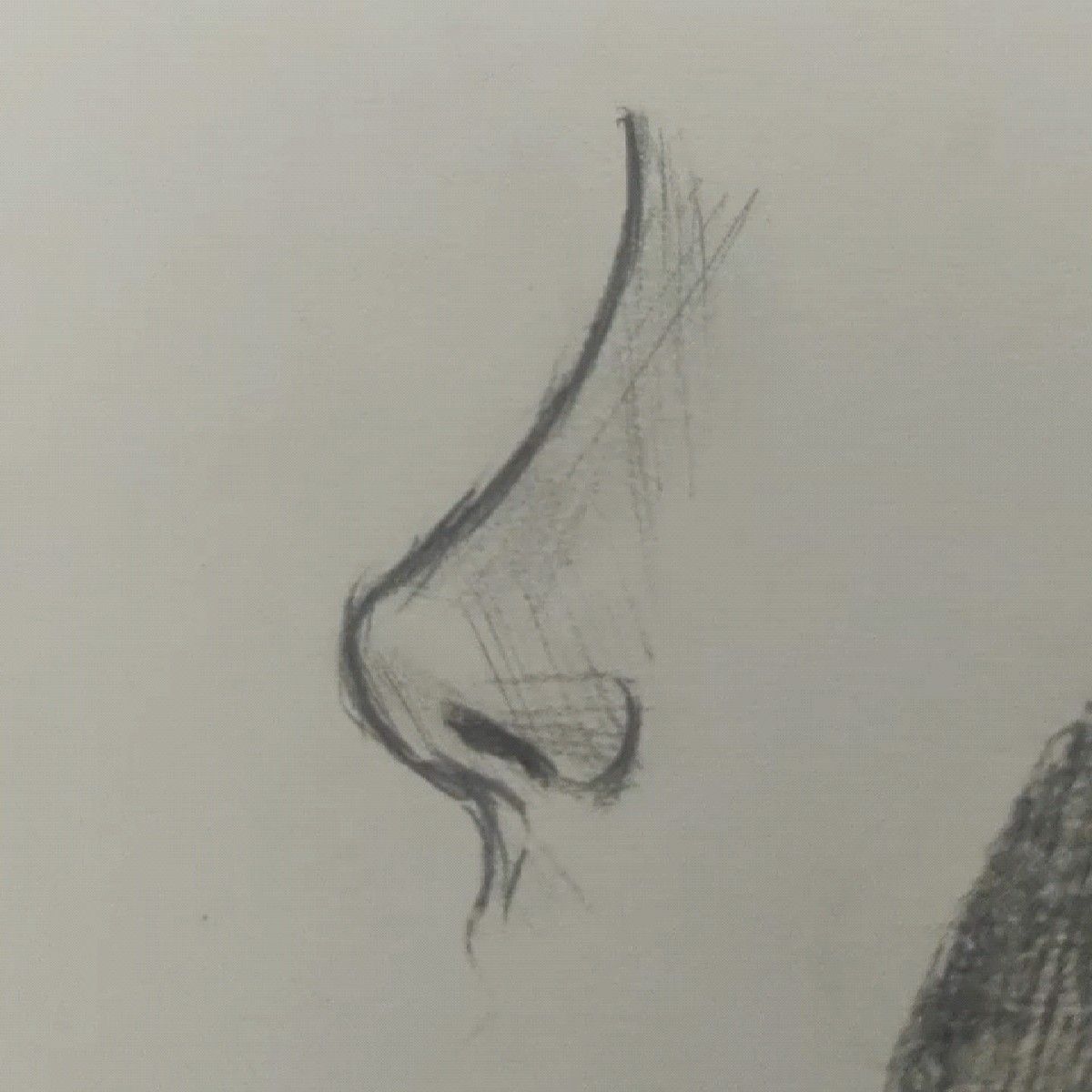 Realistic Side Profile Sketching Techniques