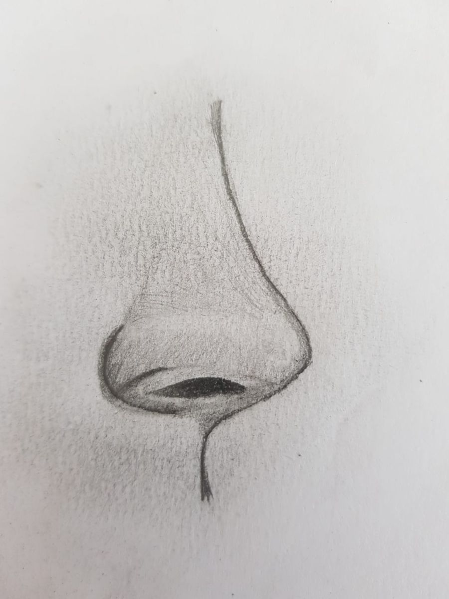 Realistic Sketch Techniques for Beginners